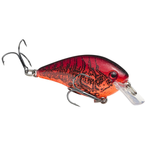 Strike King KVD Squarebill 1.0 Crankbait 2" 1/4 oz Chili Craw