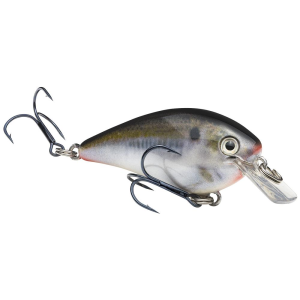 Strike King KVD Squarebill 1.0 Crankbait 2" 1/4 oz Natural Shad
