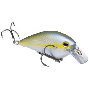 Strike King KVD Square Bill 1.5 Crankbait 2-1/4" 3/8 oz Sexy Blue Back Herring