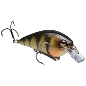 Strike King KVD Square Bill 1.5 Crankbait 2-1/4" 3/8 oz Yellow Perch