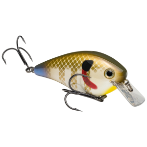 Strike King KVD Square Bill 2.5 Crankbait 2-3/4" 5/8 oz Sexy Sunfish