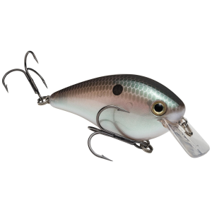 Strike King KVD Square Bill 2.5 Crankbait 2-3/4" 5/8 oz Green Gizzard Shad