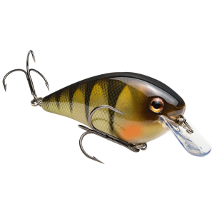 Strike King KVD Square Bill 2.5 Crankbait 2-3/4" 5/8 oz Yellow Perch