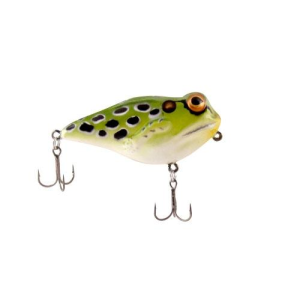 Rebel Frog-R Leopard Frog