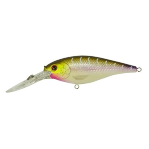 Berkley Flicker Shad 4 1/8oz Purple Tiger