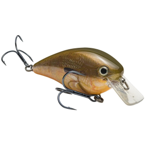 Strike King KVD Square Bill 2.5 Crankbait 2-3/4" 5/8 oz Orange Bream