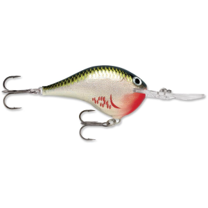 Rapala Dives-To 6 Crankbait 2" 3/8 oz Bleeding Olive Shiner