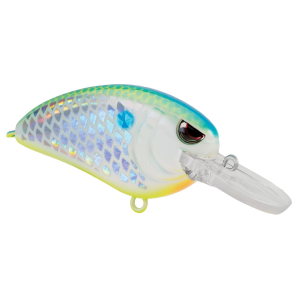 Spro Little John MD Type R 50 Crankbait 2" 1/2 oz Citrus Shad