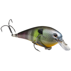 Strike King KVD Squarebill 1.0 Crankbait 2" 1/4 oz Neon Bluegill