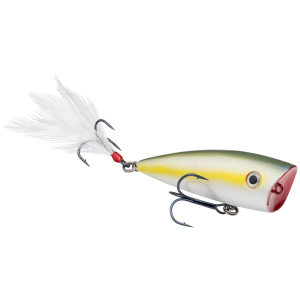 Strike King HC KVD Splash Jr Sexy Blue Back Herring