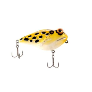 Rebel Frog-R Swamp Frog
