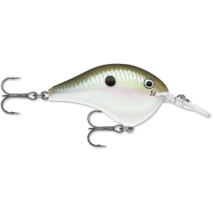 Rapala Dives-To 6 Crankbait 2" 3/8 oz Green Gizzard Shad