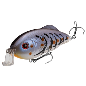 Strike King Hybrid Hunter Jr Blue Craw