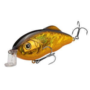 Strike King Hybrid Hunter Jr Gold/Blk/Back