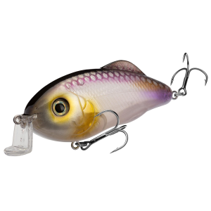 Strike King Hybrid Hunter Jr Clearwater Minnow