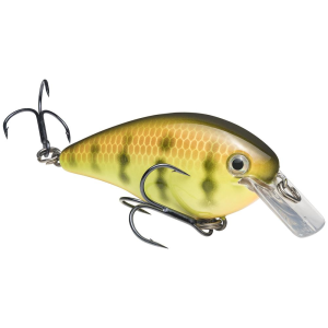 Strike King KVD Square Bill 1.5 Crankbait 2-1/4" 3/8 oz Chart Perch