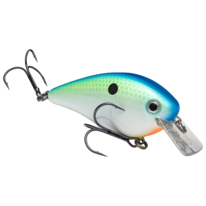 Strike King KVD Square Bill 2.5 Crankbait 2-3/4" 5/8 oz Citrus Shad
