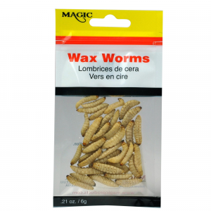 Magic Preserved Wax Worms .21oz Natural