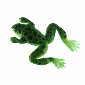 Creme 1 1/2'' Livin' Frog Green