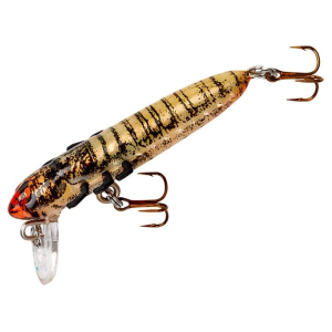 Rebel Hellgrammite Molting