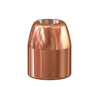 Speer Gold Dot Personal Protection Handgun Bullets .45 Auto .451" 200 gr GDHP 100/ct