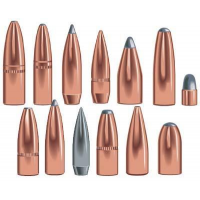 Speer Grand Slam Rifle Bullets .30 cal .308" 180 gr GSSP 50/ct