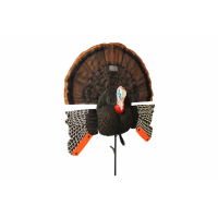 MOJO Scoot-N-Shoot MAX