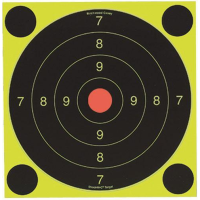 Birchwood Casey Shoot-N-C International Target