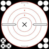 Birchwood Casey Shoot-N-C White/Black Bull's-Eye "X" Targets