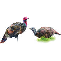 Montana DecoyCo PurrFect Pair XD Turkey Combo