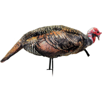 Montana Decoy Co Jake Purrfect XD Turkey Decoy