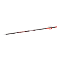 Bloodsport Judgement Arrow 400 Spine 6/pk