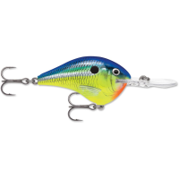 Rapala Dives To 10 Crankbait 2-1/4" 3/5 oz Parrot