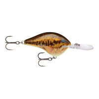 Rapala Dives-To 8 Crankbait 2" 3/8 oz Shad
