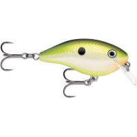 Rapala Ott's Garage Rocco 05 Bruised Citrus Shad
