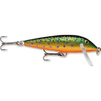 Rapala CountDown 7 1/4oz 2.75'' Brook Trout
