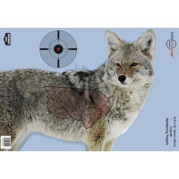 Birchwood Casey Pregame Targets - Coyote 16.5"x24" 3 Pack
