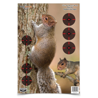 Birchwood Casey Pregame Target - 12"x18" Squirrel 8 Pack