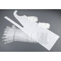 Allen Field Dressing Glove - 2-Pair