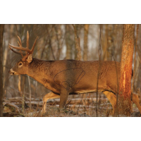 Birchwood Casey Eze-Scorer Targets Whitetail Deer Target 23"x35" 2/Pack