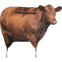 Montana Decoy Co Big Red Moo Cow Decoy