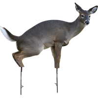 Montana Decoy Co Estrus Betty Decoy