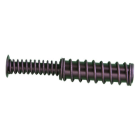 Glock Factory Dual Recoil Spring Assembly for Glock 29/30/36