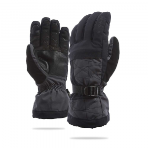 Spyder Men's Overweb GTX Ski Glove Ebony