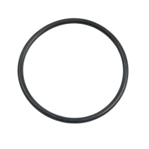 Image of Carlson Pump Rubber O-ring