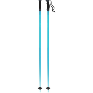 Atomic AMT SQS Ski Poles