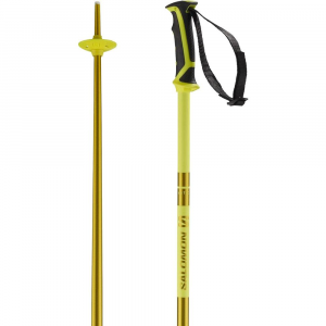 Salomon Arctic Ski Poles