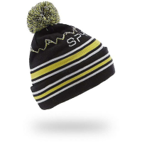 Spyder Icebox Hat - Boy's