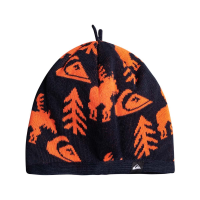 Quiksilver Cookie Beanie - Boy's