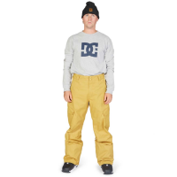 DC Banshee Pants - Men's